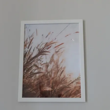 Hotel Dobry Zakatek Dom Rekolekcyjny Konstancin-Jeziorna Exteriér fotografie